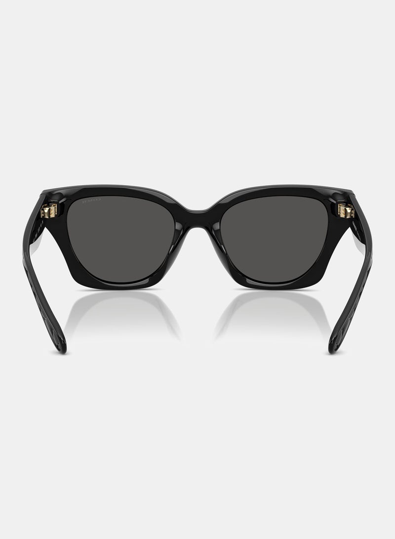 كوتش نظارة شمسية فراشة كاملة الحواف 8418U 500287 - Image 3